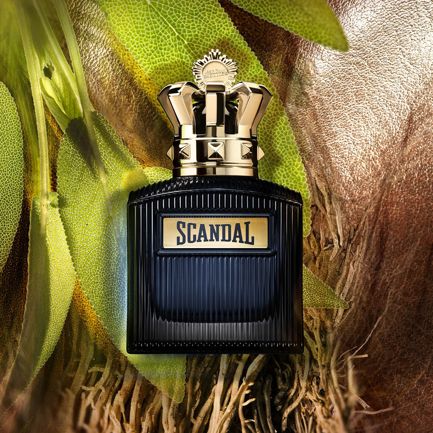 Scandal Intense Him